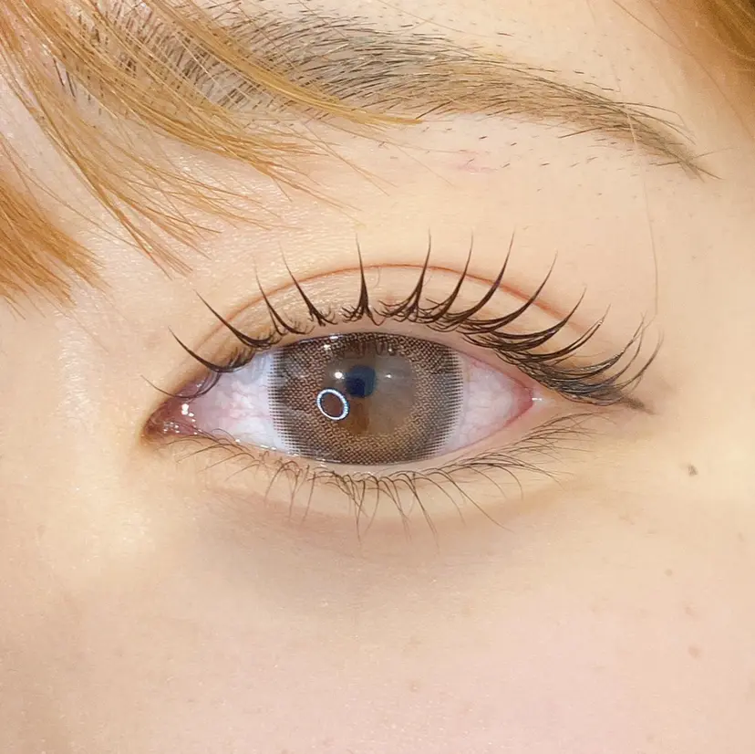 Sunny🌞 サニーと申します🌻の掲載