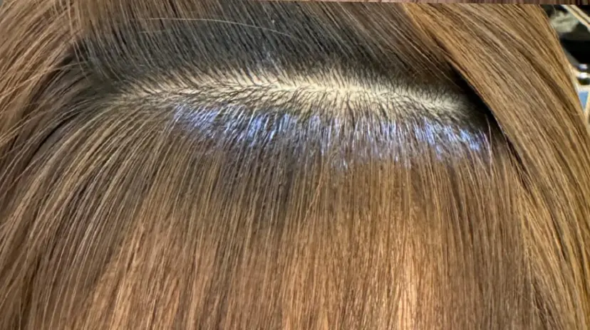 鈴木 さやかの掲載