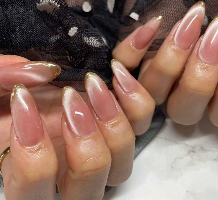 ノミ ノミの掲載