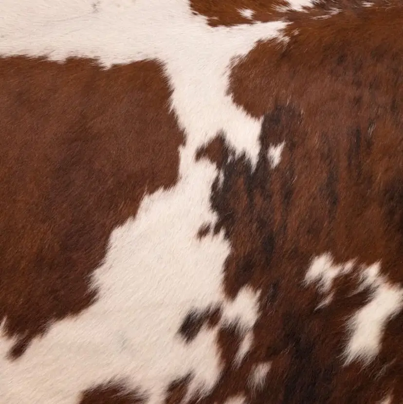 ROCCO eyelistここなの掲載