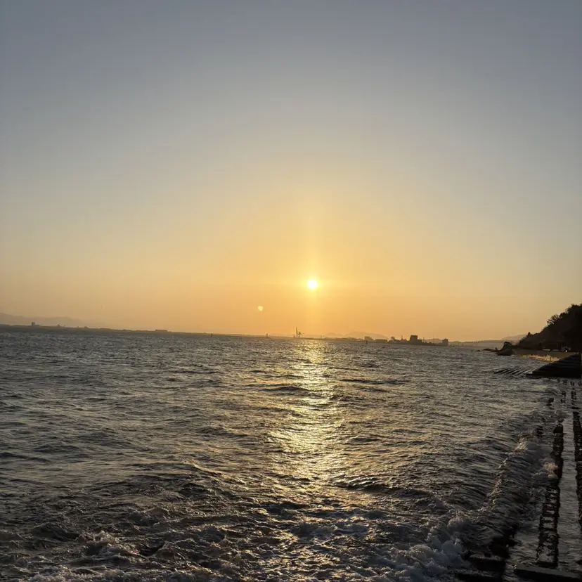 西村 歩真の掲載