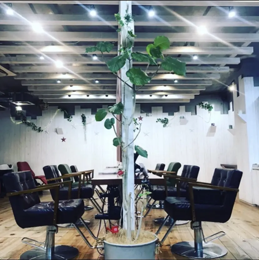 La Pace 【ラパーチェ】の掲載