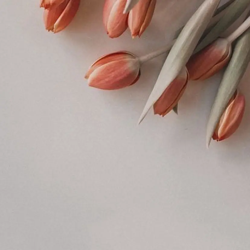 あくつ りおの掲載