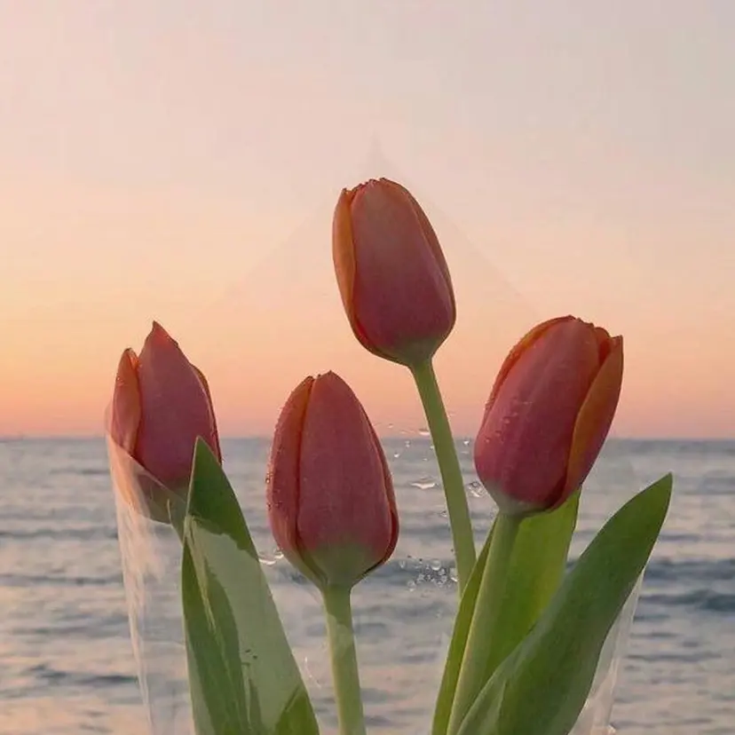 Ore／Himeka 🌷レディースの掲載