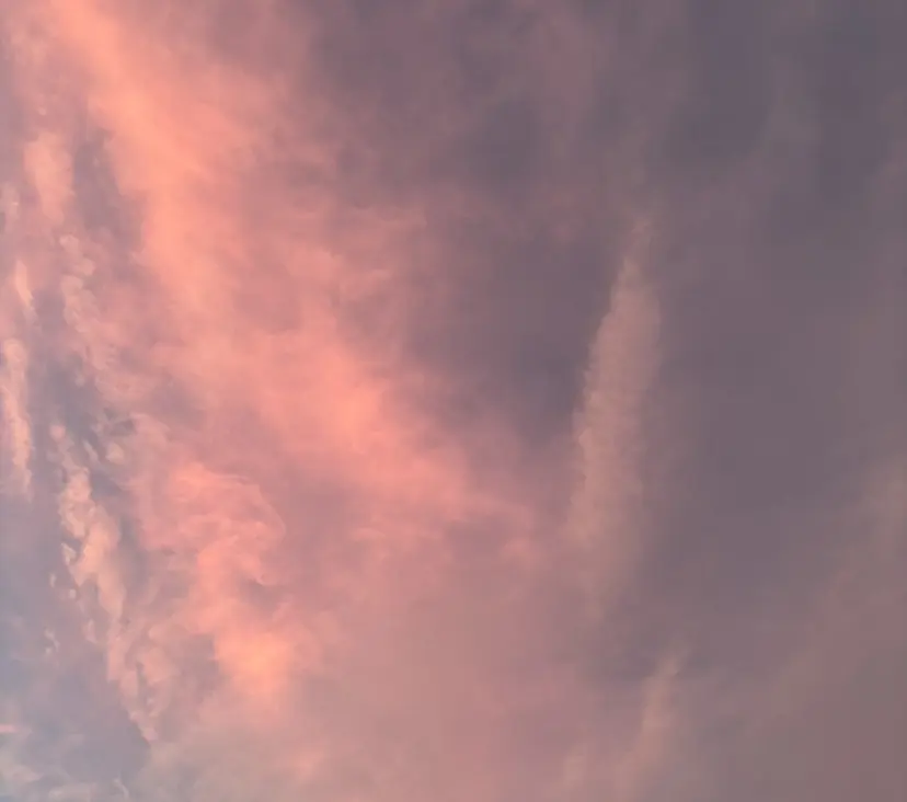 💖韓国風艶髪ヘア 💖EREN🦋の掲載