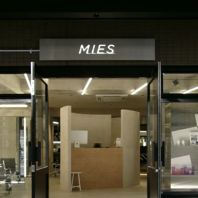 MIES ミナリの掲載