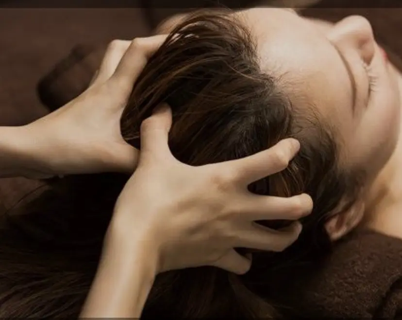 加藤 陽子の掲載