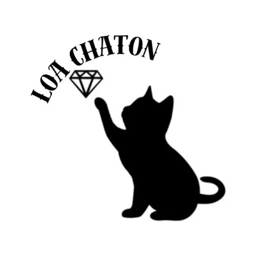 LoaChaton kaeの掲載