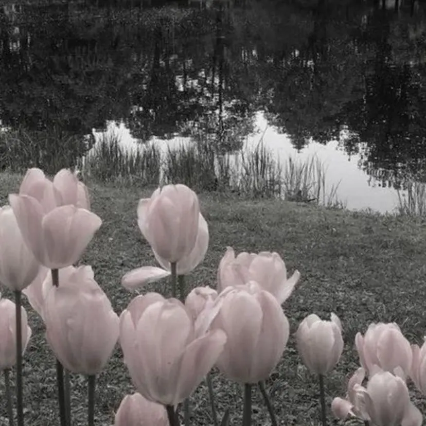 Bianca♡ TAKANASHIの掲載