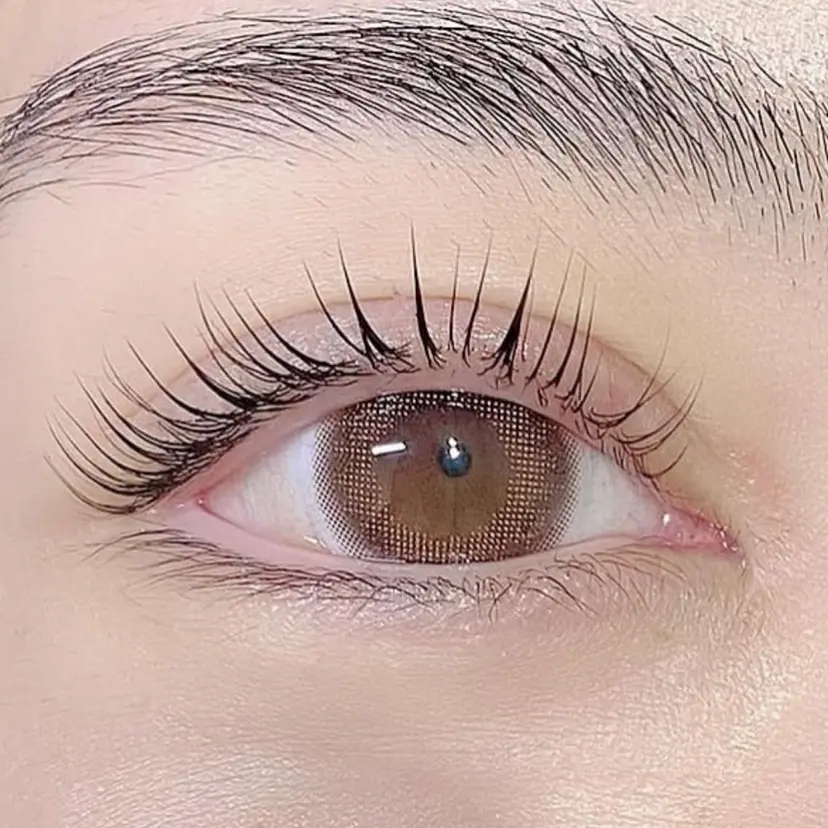 Toyoshima Sakikoの掲載