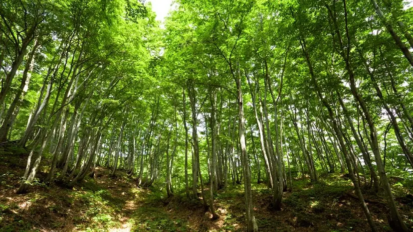 千葉 たかしの掲載