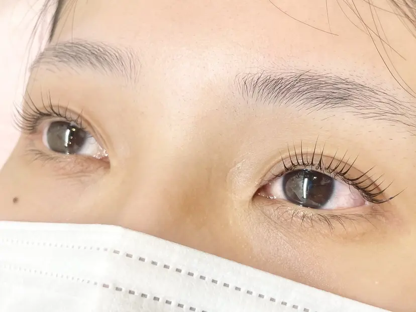 bunny eyes 加藤の掲載