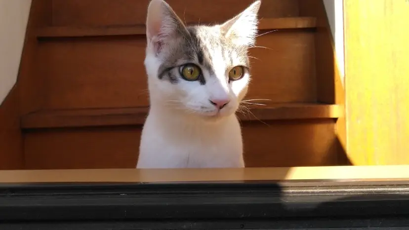 深夜&早朝の髪質改善 とヘッドスパ／髙橋の掲載