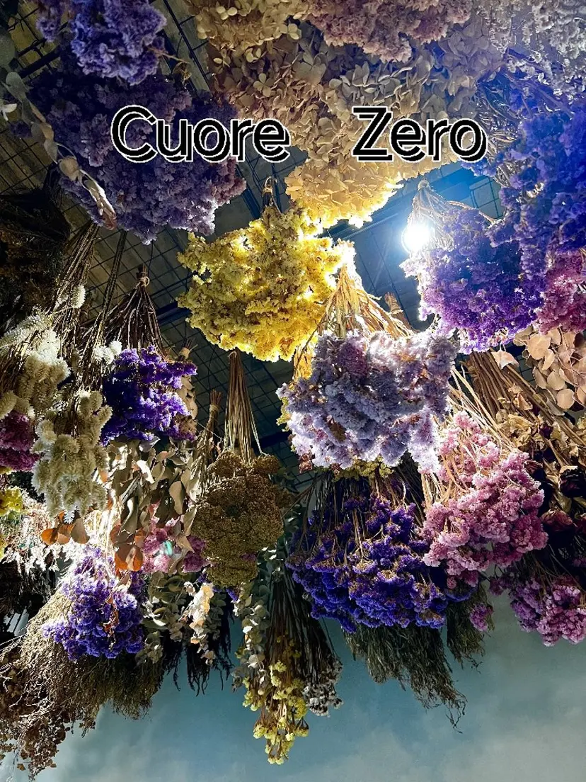 加藤 直樹の掲載