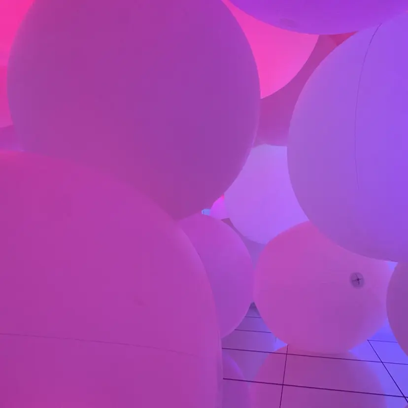 ジャスミン /ROCCO 3rdの掲載