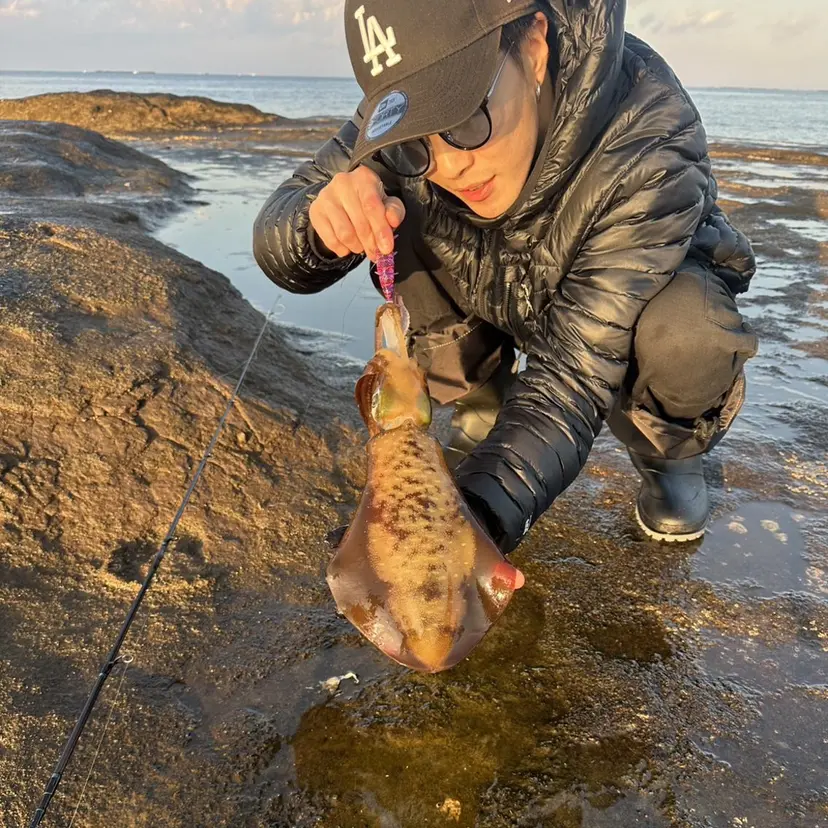GOODMAN千里 💈松本の掲載