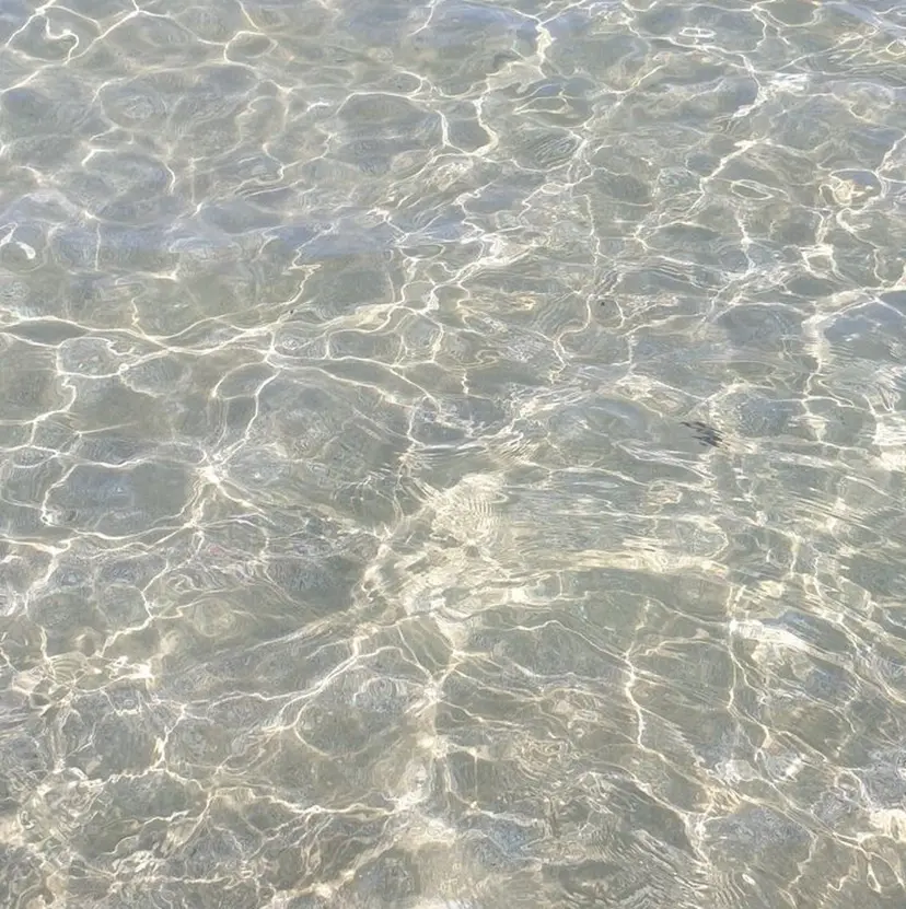 Lusso ayaneの掲載