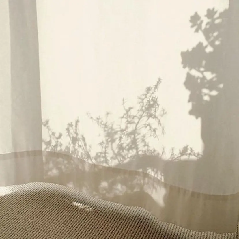 mary 八木の掲載