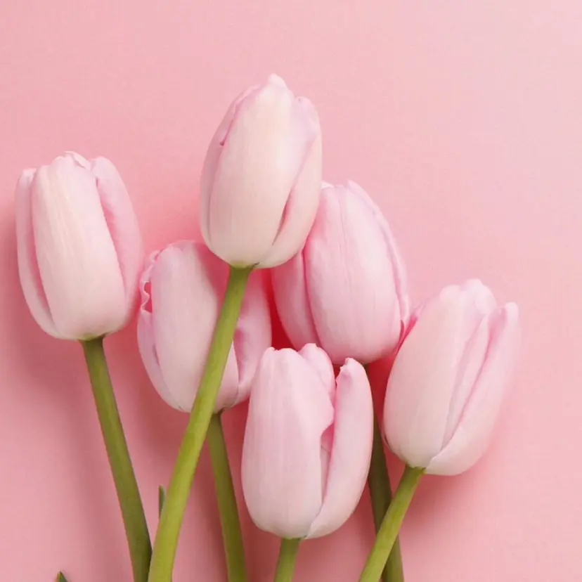 池袋 30分マツエクサロンの掲載