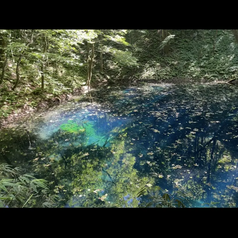 田中 准羽の掲載