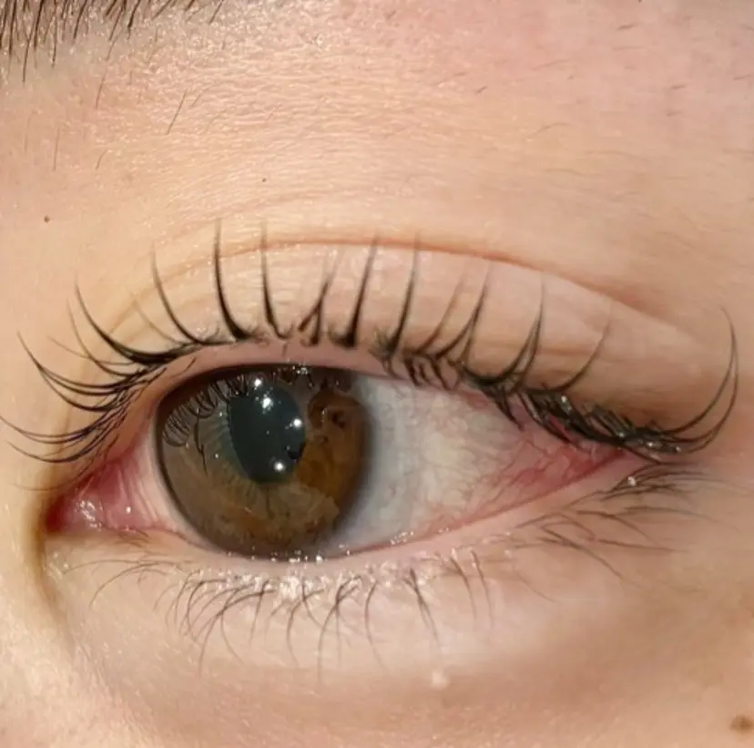 Daisy lash 大阪駅前第3ビルの掲載