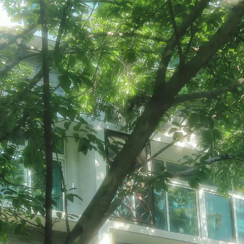 🌿ヘッドスパ🌿‬ 星沙那梨の掲載