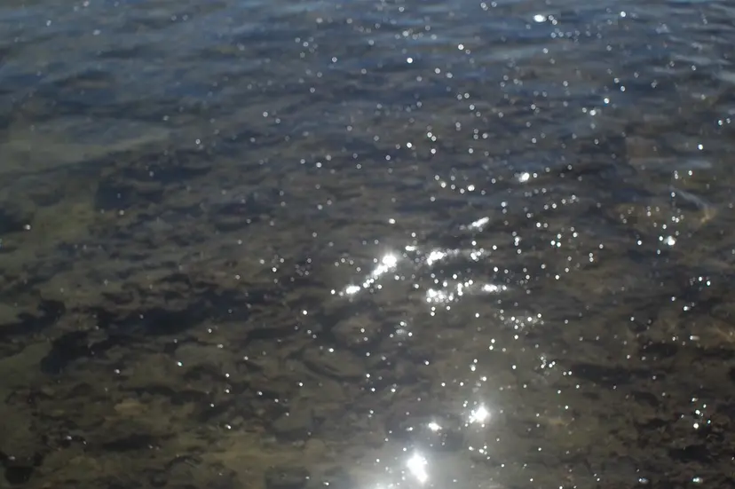 4月カットモデルさん 募集中です🎀の掲載