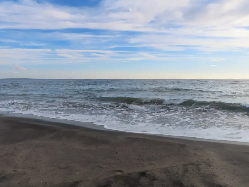 Yui/ショート /シャドウパーマの掲載