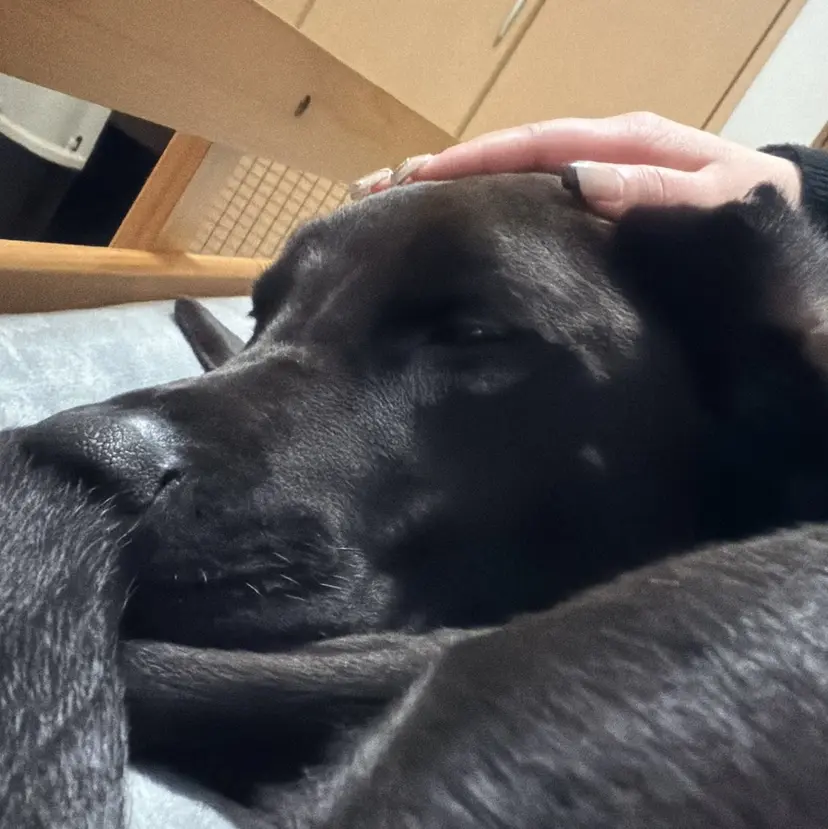 奈那🪼🦋 カットモデル募集🎀の掲載