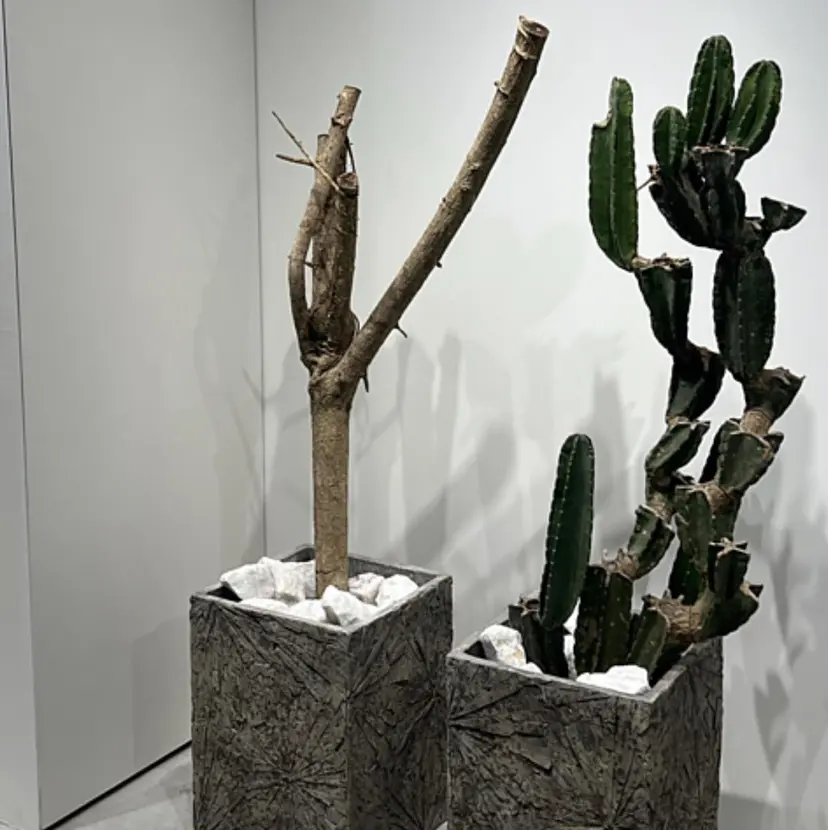 矢崎 明莉の掲載