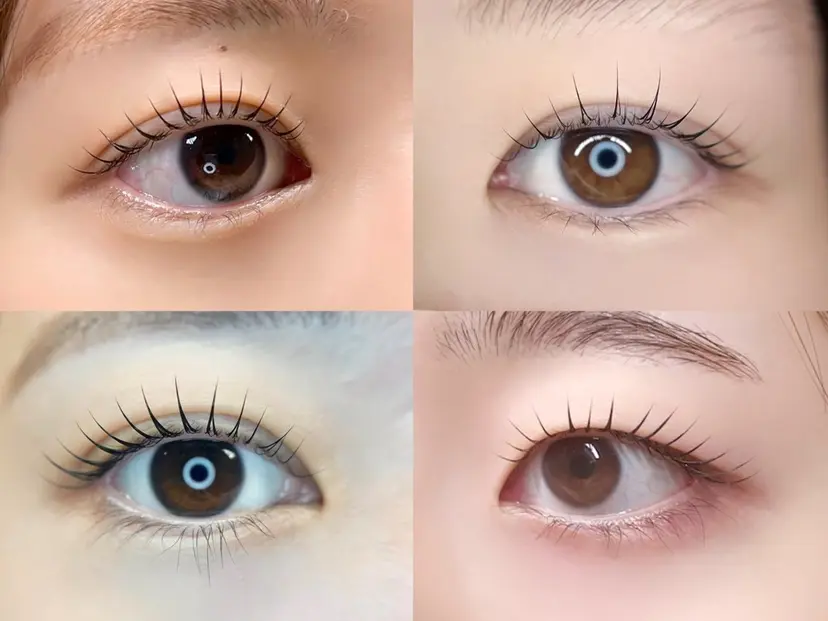 メゾンドシャルム SETOGAWAの掲載