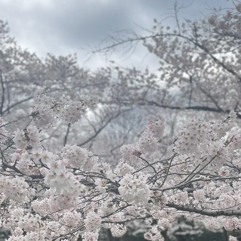 【Sia中野新橋🫧 kaho】の掲載