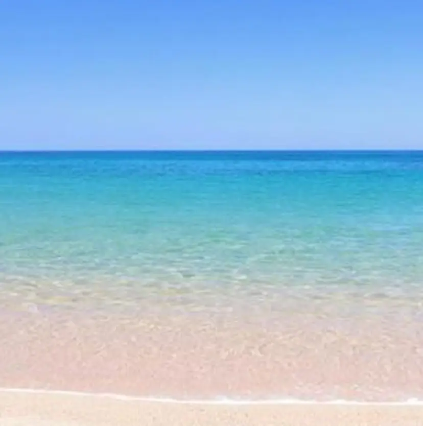 germe ハナの掲載