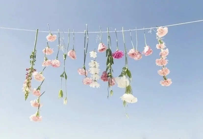 はまだ まゆみの掲載