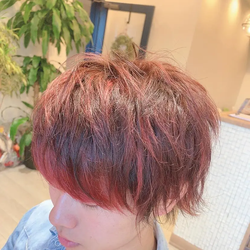 Lian山田 駿の掲載