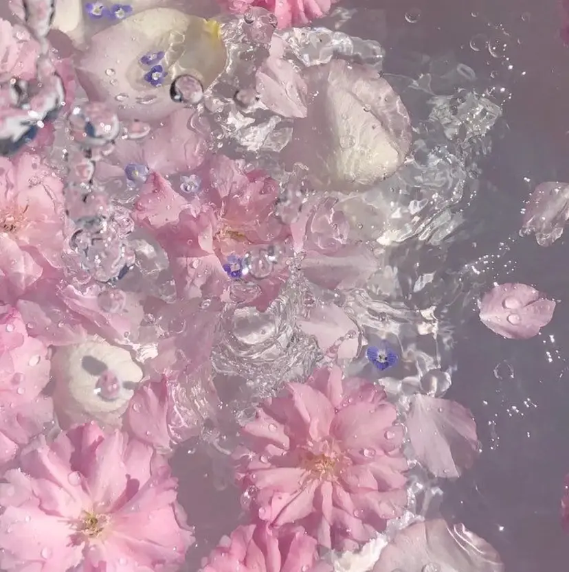 しみず れいなの掲載