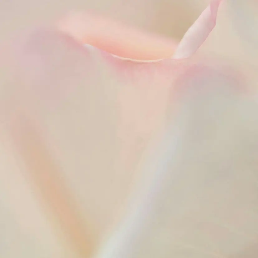 似合わせカットカラー ♡佐藤捺美の掲載