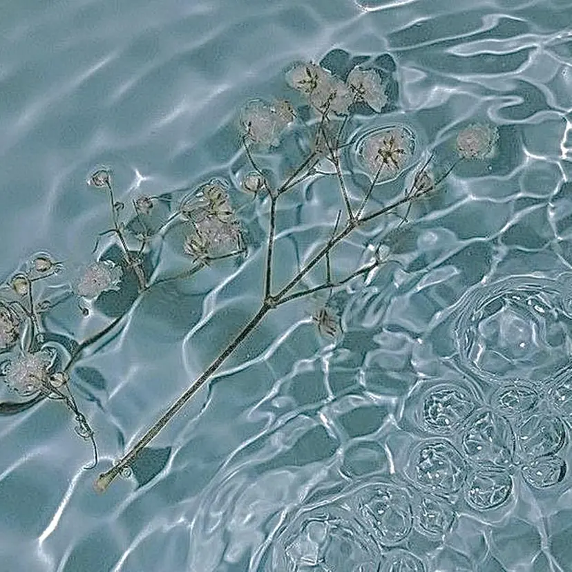 olivia 瀬戸 ❤︎アンドヘルシーの掲載