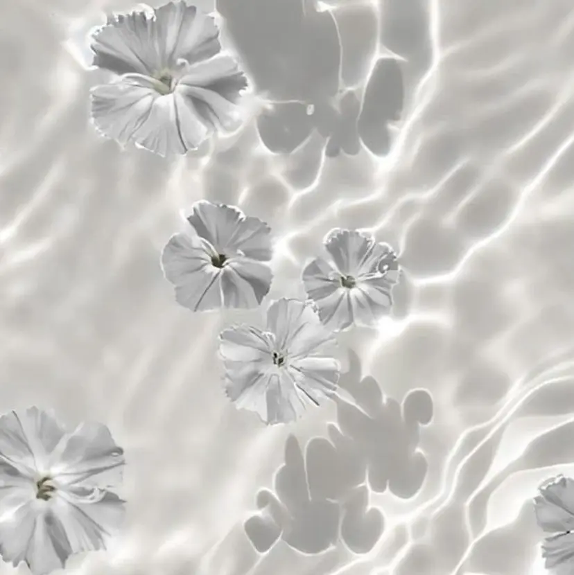 Kellyeye ~sayakaの掲載