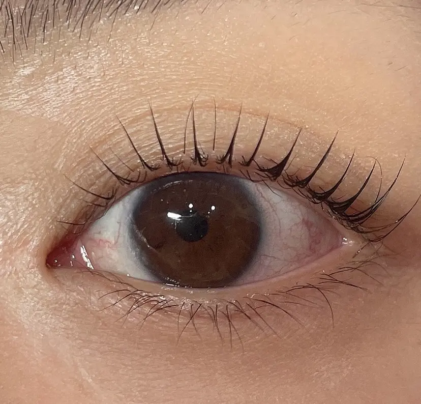 山中 梨里の掲載