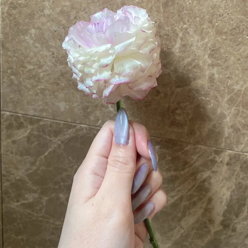 ｉｎｇ .の掲載