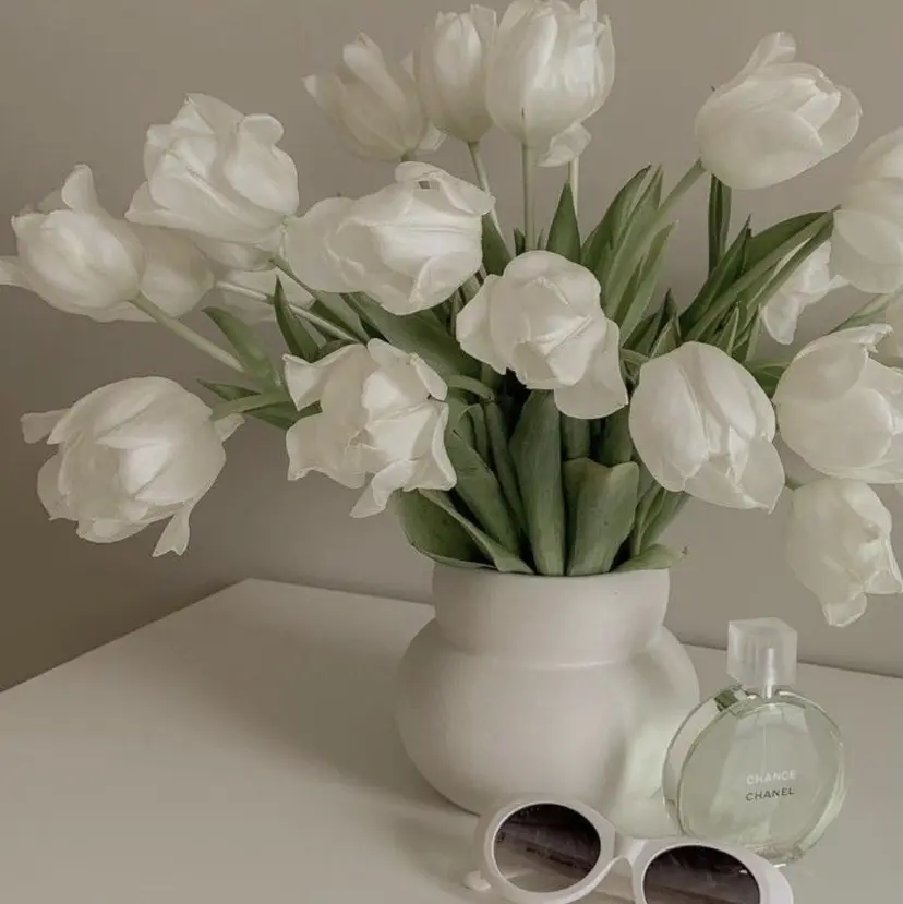 nana/ アイブロウ♡の掲載