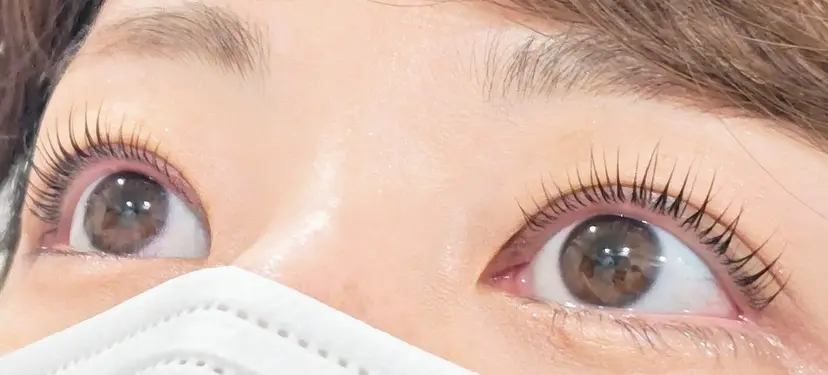 C'estlaVie Idaの掲載