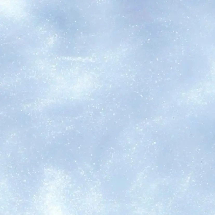 🌟 ⭐️の掲載