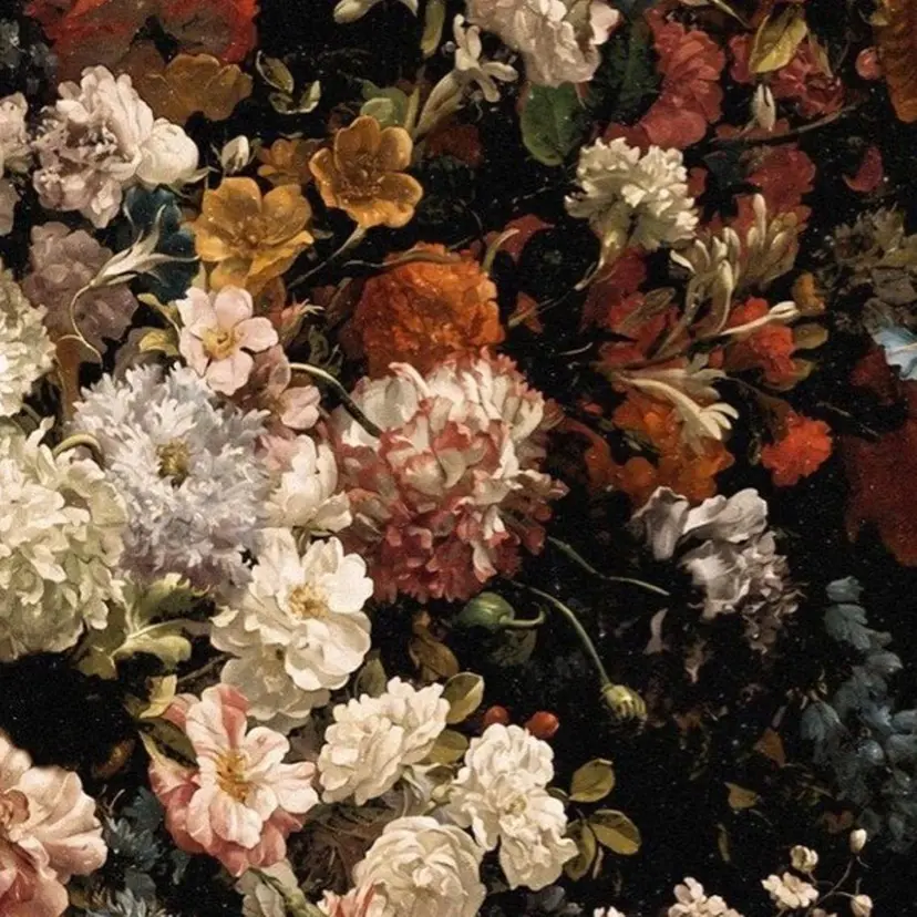 佐藤 百葉の掲載