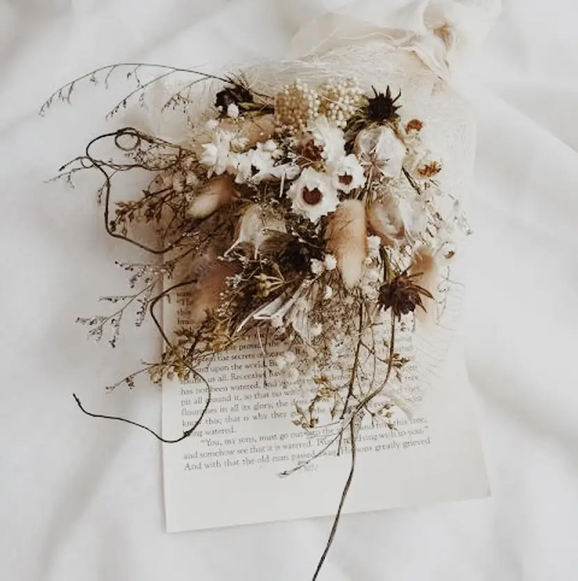 Tomato 藤平の掲載