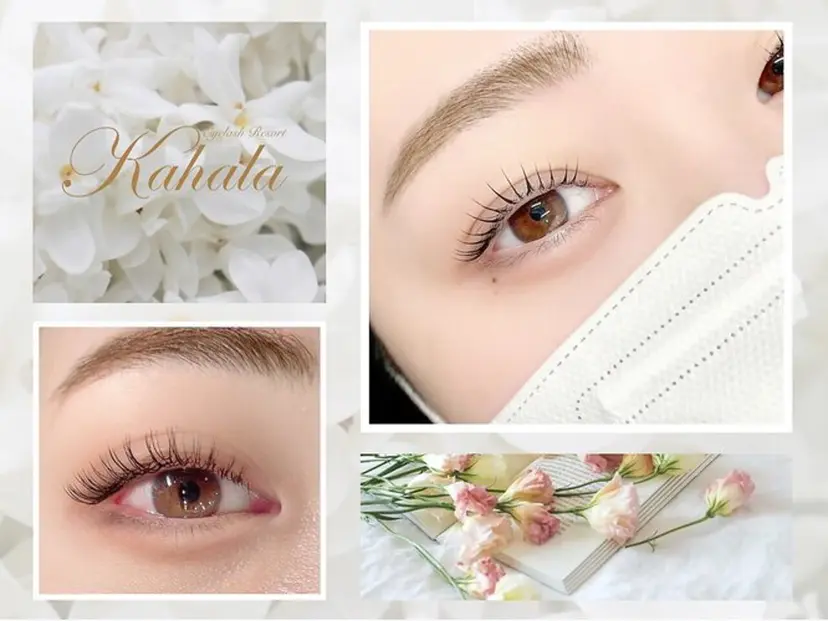 🐾 MISAKIの掲載