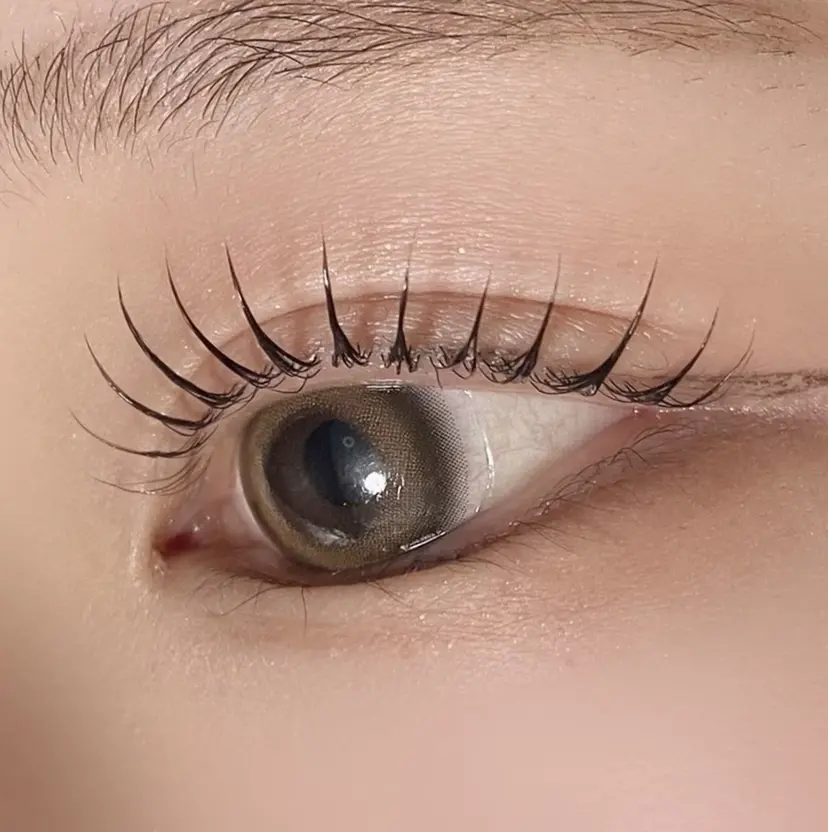 滝沢 眞彩の掲載