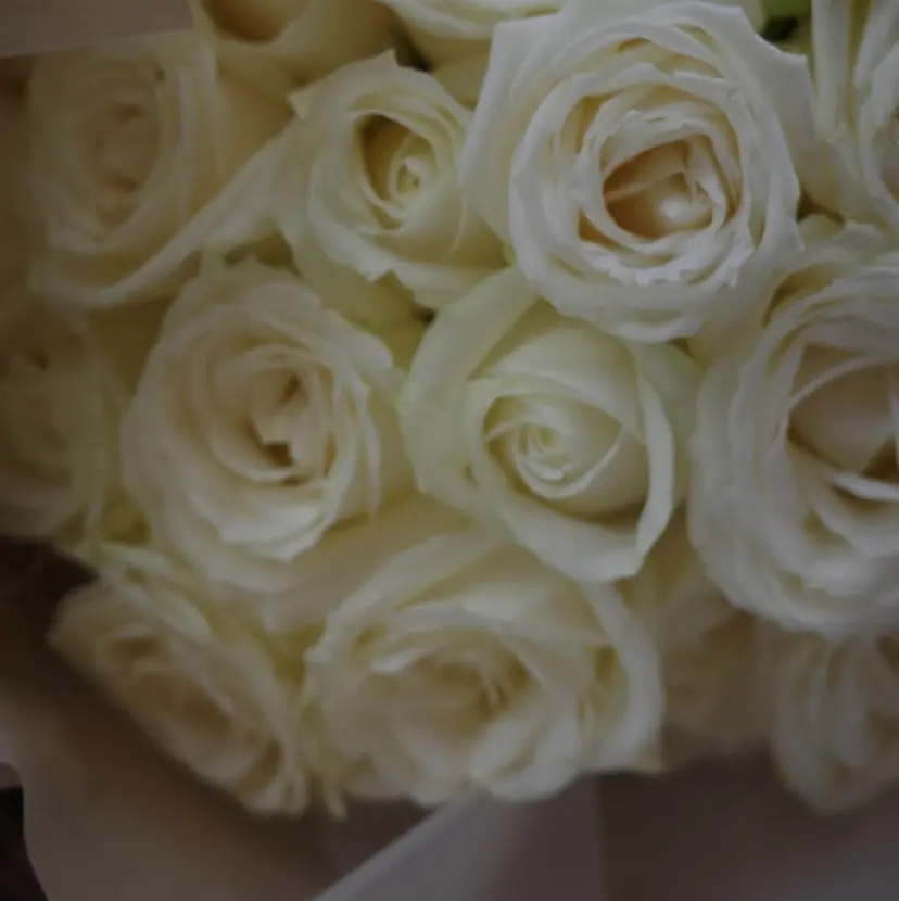 かんな🤍 眉毛/脱毛の掲載