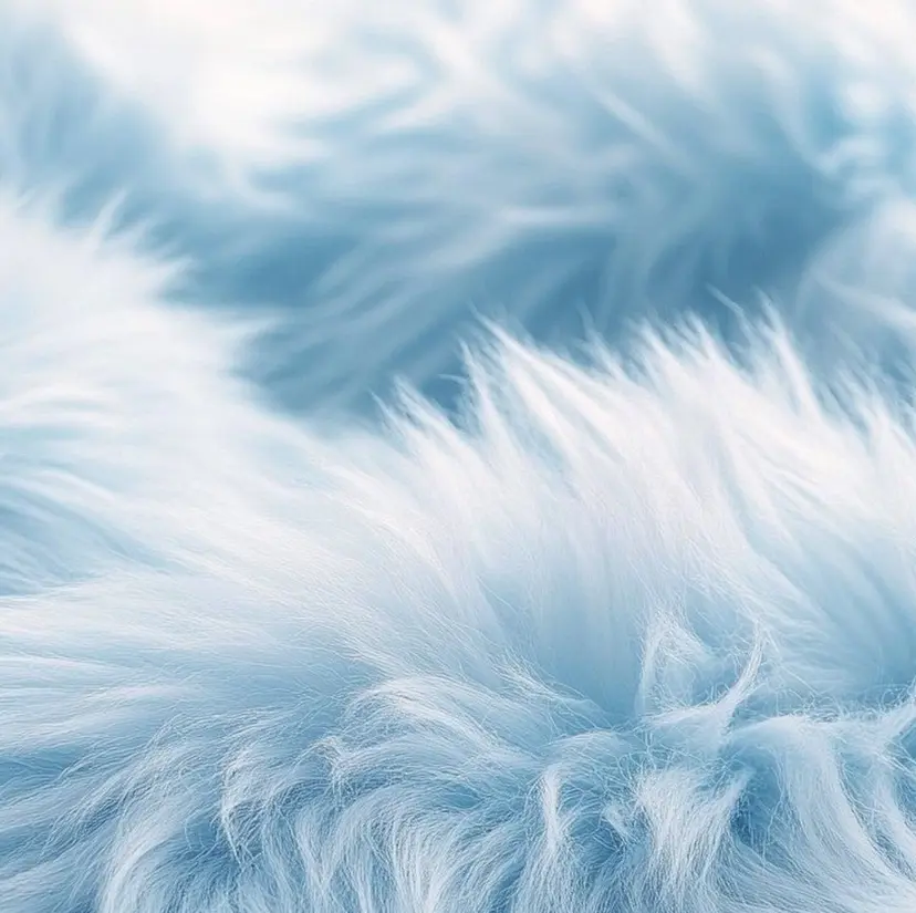 ショートカット/ カラーARAI🫧の掲載